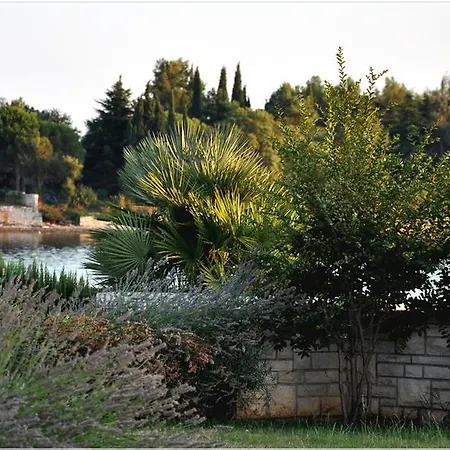 San Lorenzo Appartement *