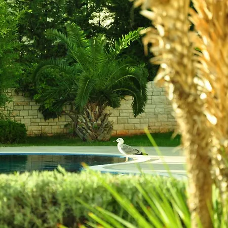 San Lorenzo Appartement *